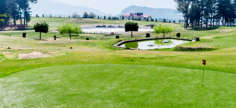 Scenic view of Naldehra Golf Course